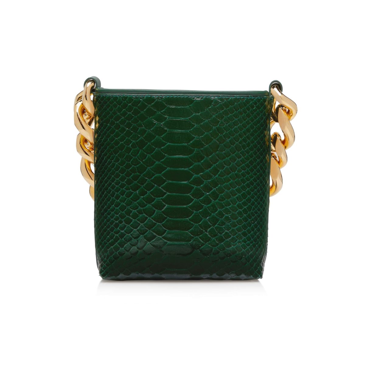 Sacs À Bandoulière Tom Ford Printed Python Tf Maxi Chain Mini Femme Turquoise Vert | UXLFO-8516